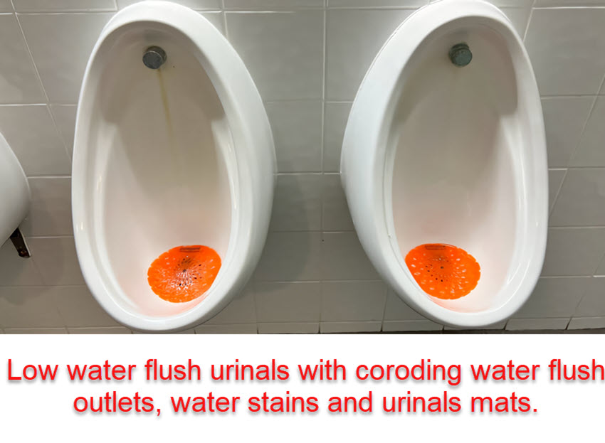 ZeroFlush vs Low Water Flush Urinals: Unmasking Efficiency Myths