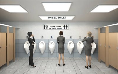 Unisex Urinal Usability for Women: Privacy and Hygiene Concerns Exposed